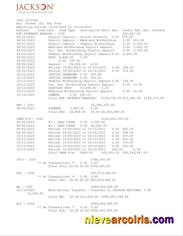USA Jackson National bank statement Word and PDF, 2 pages